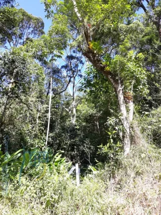 Imagem Terreno - Em rua, para Venda em São Francisco do Sul/SC