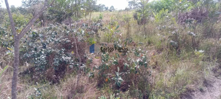 Foto do imóvel: Chácara para Venda em Brasília, Área Rural de São Sebastião