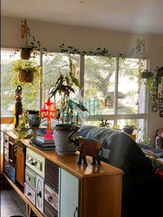Imagem Apartamento à Venda em Indianópolis - São Paulo/SP.