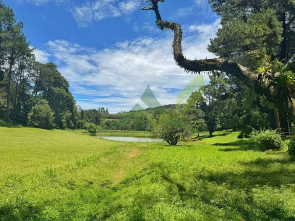 Imagem Haras à Venda no Asfalto em Piracaia – 18 alqueires com Estrutura Completa