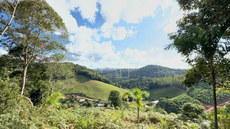 Imagem Chacara em Melgaço - Domingos Martins