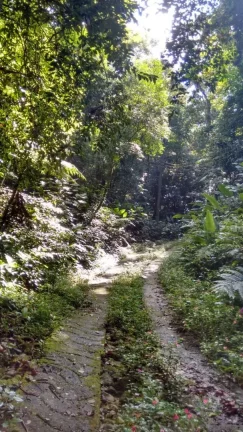 Imagem Terreno 30.000m² à Venda na Praia de Maresias - São Sebastião SP.