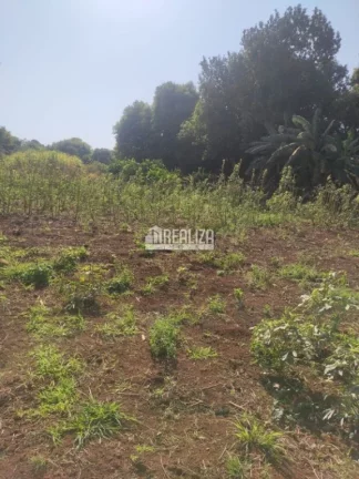 Imagem Chácara à venda próximo à Delta: seu refúgio rural na cidade