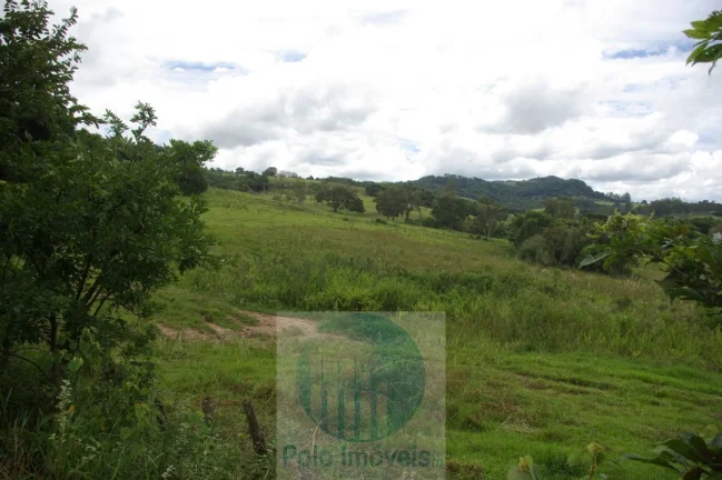 Imagem Fazenda 59 alqueires para soja, milho, gado em Cássia dos Coqueiros - SP . Temos autorização para venda.