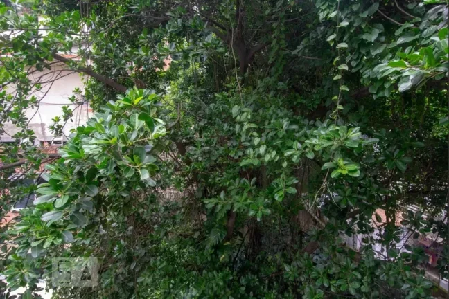 Imagem Apartamento à Venda - Copacabana, 3 Quartos, 100 m2