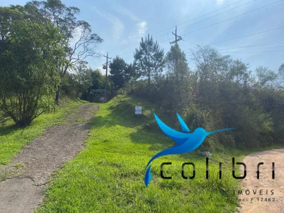 Imagem Terreno à Venda, 730 m² em Quatro Pinheiros - Mandirituba