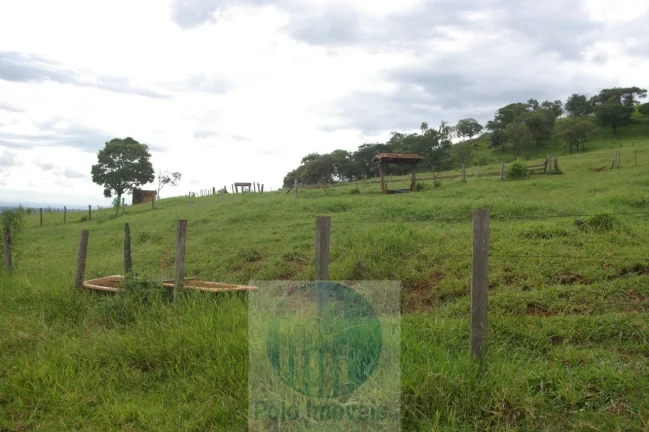 Imagem Fazenda em Cajuru 65,2254 alqueires com 35 alqueires em cana - a 78 km de Ribeirão Preto - SP sentido Casa Branca
