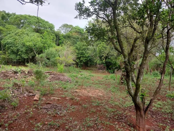 Imagem CHÁCARA LOCALIZADA NA REUNIDAS - PILAR DO SUL - SP