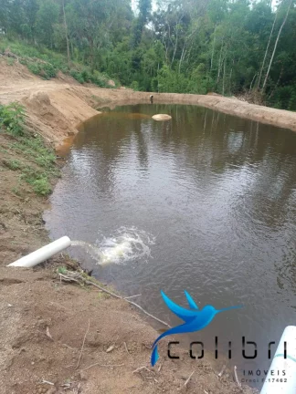 Imagem Chácara à Venda, 7.716 m² em Lagoa Dos Ferreiras - Mandirituba