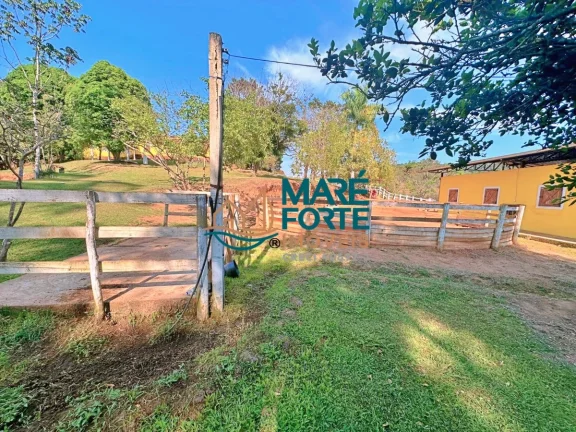 Imagem OPORTUNIDADE - LINDO HARAS A VENDA EM LAGOINHA SP