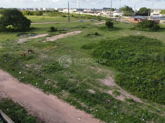 Imagem Área em Jardim - São Gonçalo do Amarante com 17ha