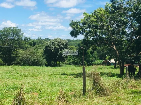 Imagem Oportunidade! Fazenda à venda em Conceição das Alagoas