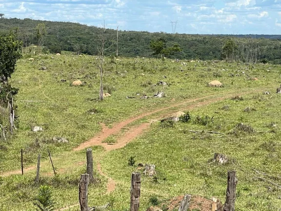 Imagem Fazenda à Venda – 117,3 Hectares em Luziânia-GO