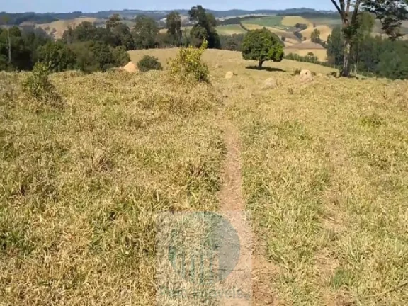 Imagem Sítio planta café 22,34 alqueires, terra vermelha, casa, água, galpão - Zona Rural - Biguatinga l de Minas Gerais