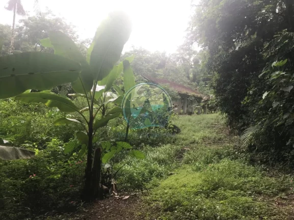 Imagem Terreno à venda em Ubatuba-SP, Horto Figueira: 200m² de área promissora!