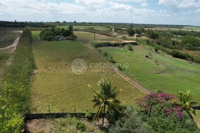 Imagem Chacara a venda completa e produtiva em Sao jose de mipibu