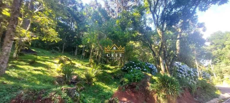 Imagem Chácara - Sítio com 2 Dormitorio(s) localizado(a) no bairro Carapina em São Francisco de Paula / RIO GRANDE DO SUL Ref.:1539