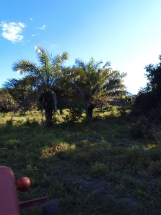 Imagem Fazenda à Venda em Faina - 237 Alqueires de Oportunidade!
