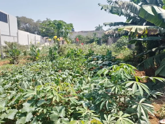 Imagem Terreno à venda, 923 m² por R$ 830.700,00 - Chácaras Reunidas Guaio - Suzano/SP