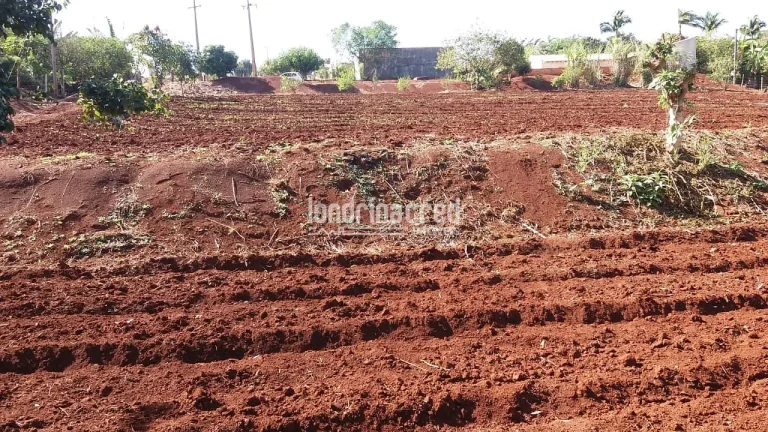 Imagem Chácara à venda 5800M², Zona Rural, Warta - PR