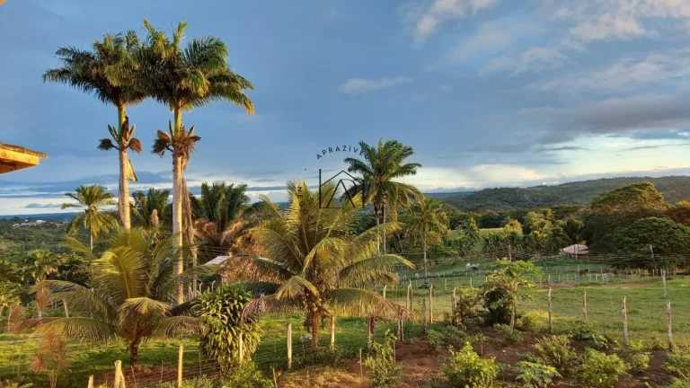 Imagem Fazenda para Venda em Valença, Guaibim, 9 dormitórios, 3 banheiros