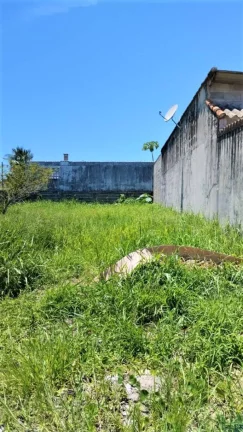 Imagem Terreno à venda na Ilha Comprida