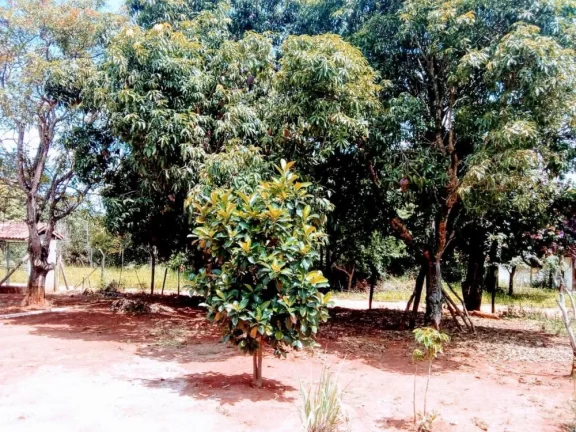 Imagem Chácara a venda no bairro Jardim Gramado - 2000m²