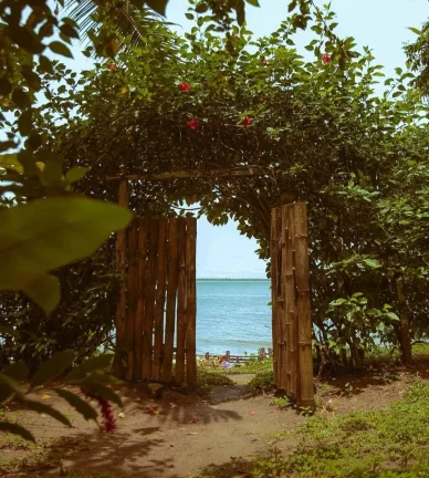 Imagem Pousada à venda no bairro Velha Boipeba em Cairu-BA