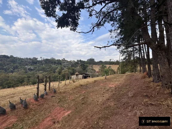 Imagem Sítio com Ótimo Acesso Asfaltado Atibaia 8 Alqueires