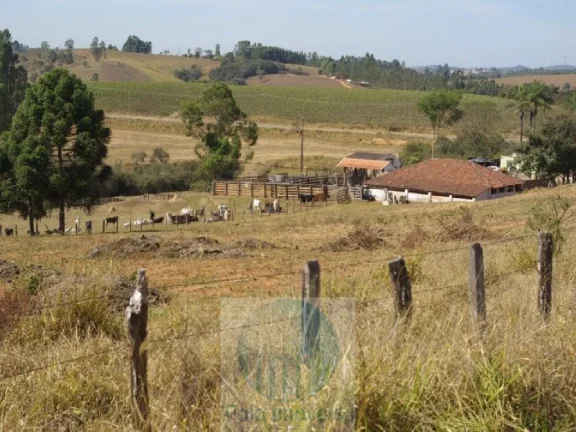 Imagem SÍTIO A VENDA 66,5 HECTARES para GRÃOS E GADO, JACUÍ MG