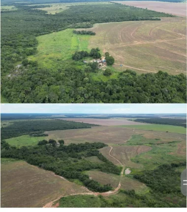 Imagem VENDO ESTA FAZENDA PRODUTIVA EM MATO GROSSO.