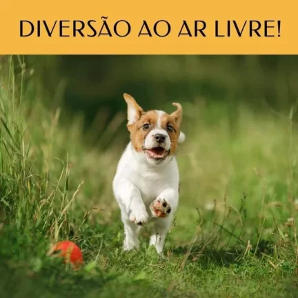 Imagem Terreno em Condomínio para Venda em Teresópolis / RJ no bairro Vale Alpino