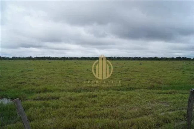 Fazenda em São Miguel do Araguaia à venda, - Centro - São Miguel do Araguaia/GO