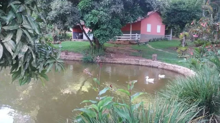Imagem Imóvel