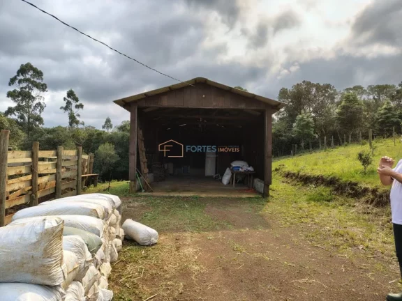 Imagem Chacara, Hectares em osorio, chacara em osorio, sitio osorio