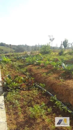 Imagem Chácara com 1 Quarto à Venda, 10.000 m² em Fernandes - Pouso Alegre