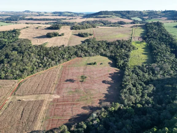 Foto do imóvel: Sítio à venda em Santa Maria, Centro - Energia Elétrica, Rio e Açude