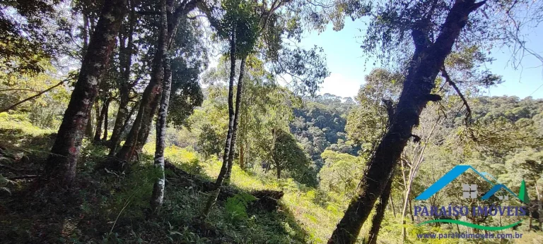 Imagem Terreno Rural na Serra da Mantiqueira | Sertão do Cantagalo
