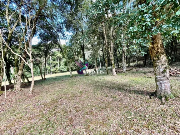 Imagem Chácara à venda no bairro Ana Rech - Caxias do Sul/RS
