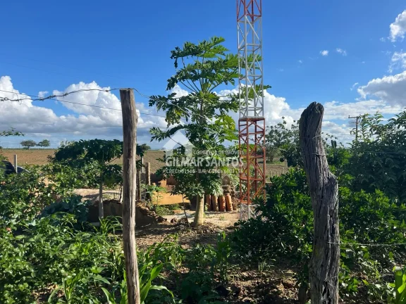 Imagem Fazenda/Sítios/Chácaras no bairro zona rural, em Coronel João Sá