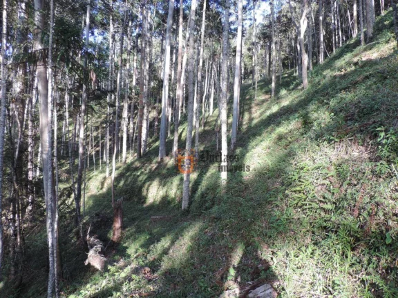 Imagem Sítio com 2 dormitórios à venda, 1000000 m² por R$ 28.000.000,00 - Dos Marmelos - Campos do Jordão/SP