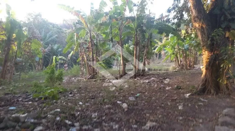 Imagem Investimento Seguro em Terreno Comercial em Guaratiba, Rio de Janeiro