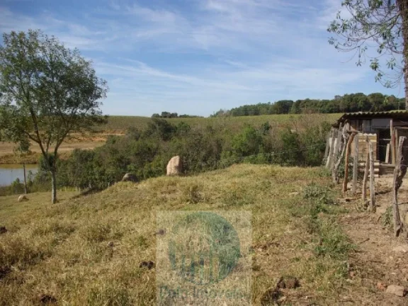 Imagem SÍTIO A VENDA 66,5 HECTARES para GRÃOS E GADO, JACUÍ MG