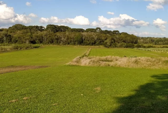 Imagem Terreno para Venda em São José dos Pinhais, Campo Largo da Roseira