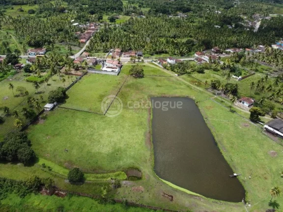 Imagem ÁREA Á VENDA EM NISIA FLORESTA