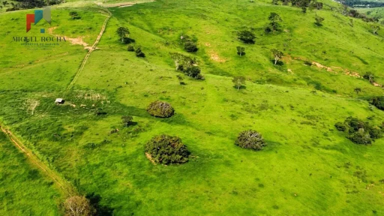 Imagem Fazenda região de Itapira SP