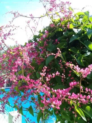 Imagem Casa para Venda em Ribeirão Pires, Centro Alto, 4 dormitórios, 2 suítes, 3 banheiros, 4 vagas