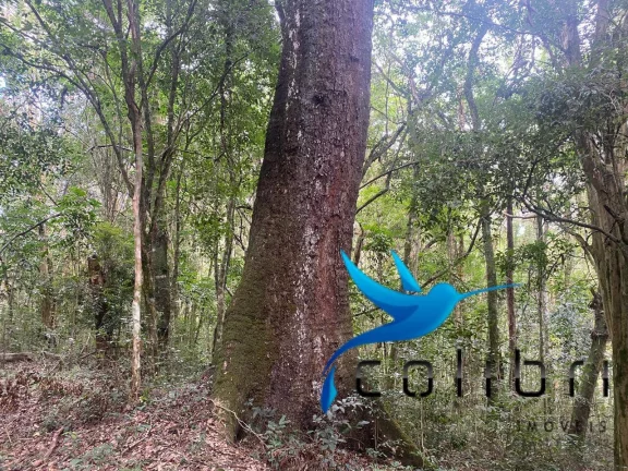 Imagem Chácara com 4 Quartos à Venda, 72.600 m² em Pinheiro Ocado - Agudos Do Sul