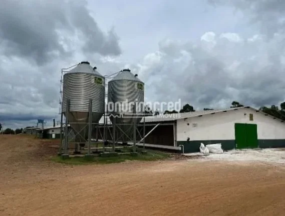 Imagem Sítio à venda, RURAL, Roncador, PR