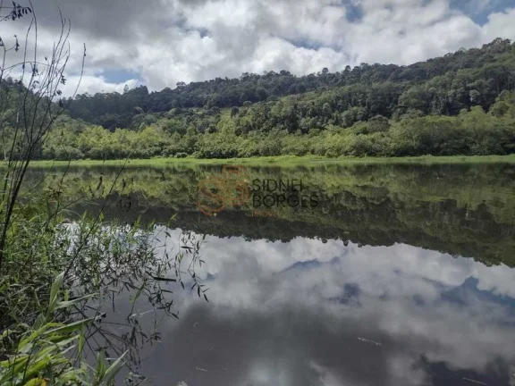 Imagem Sítio CONCÓRDIA - SC